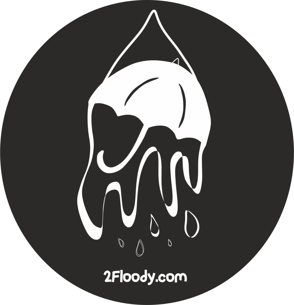 2Floody (Rapper/Artist)